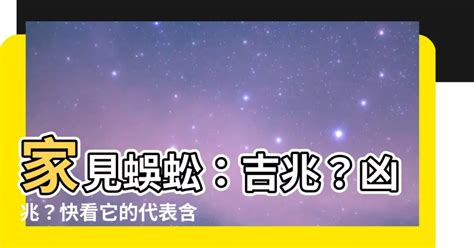 家裡看到蜈蚣|蜈蚣入宅：吉凶全面剖析